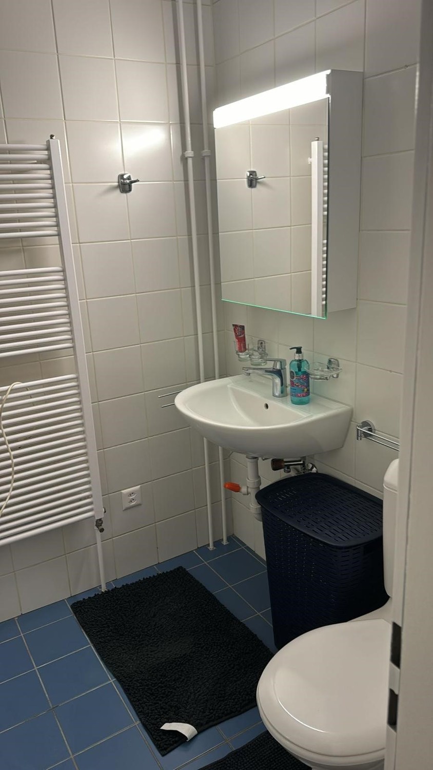 3 ½ Zimmer Wohnung