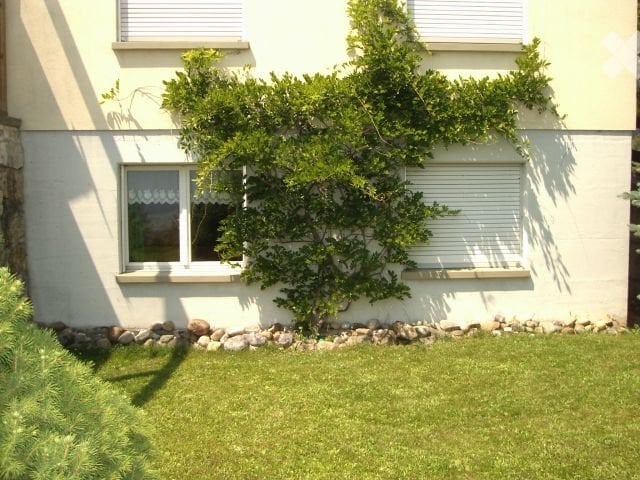 1 ½ rooms apartment, photo 1 sur 5