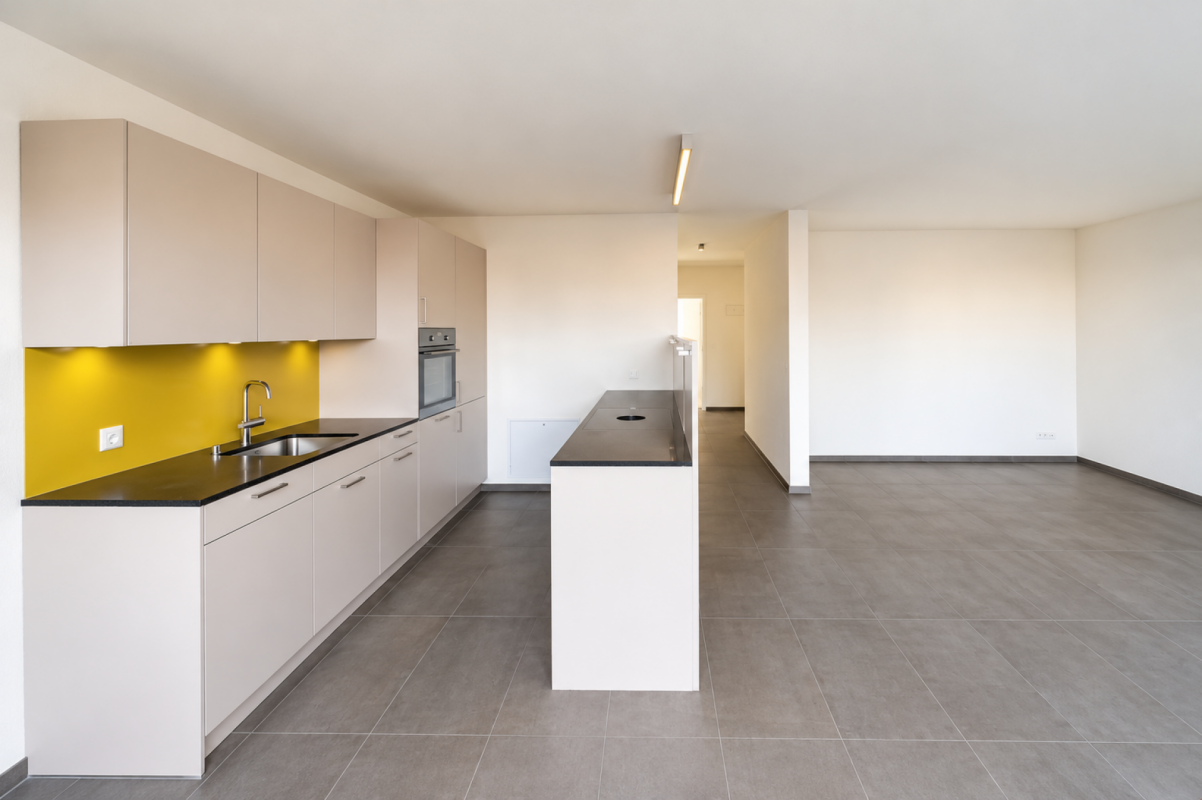 Appartement de 2 ½ pièces, photo 2 sur 5