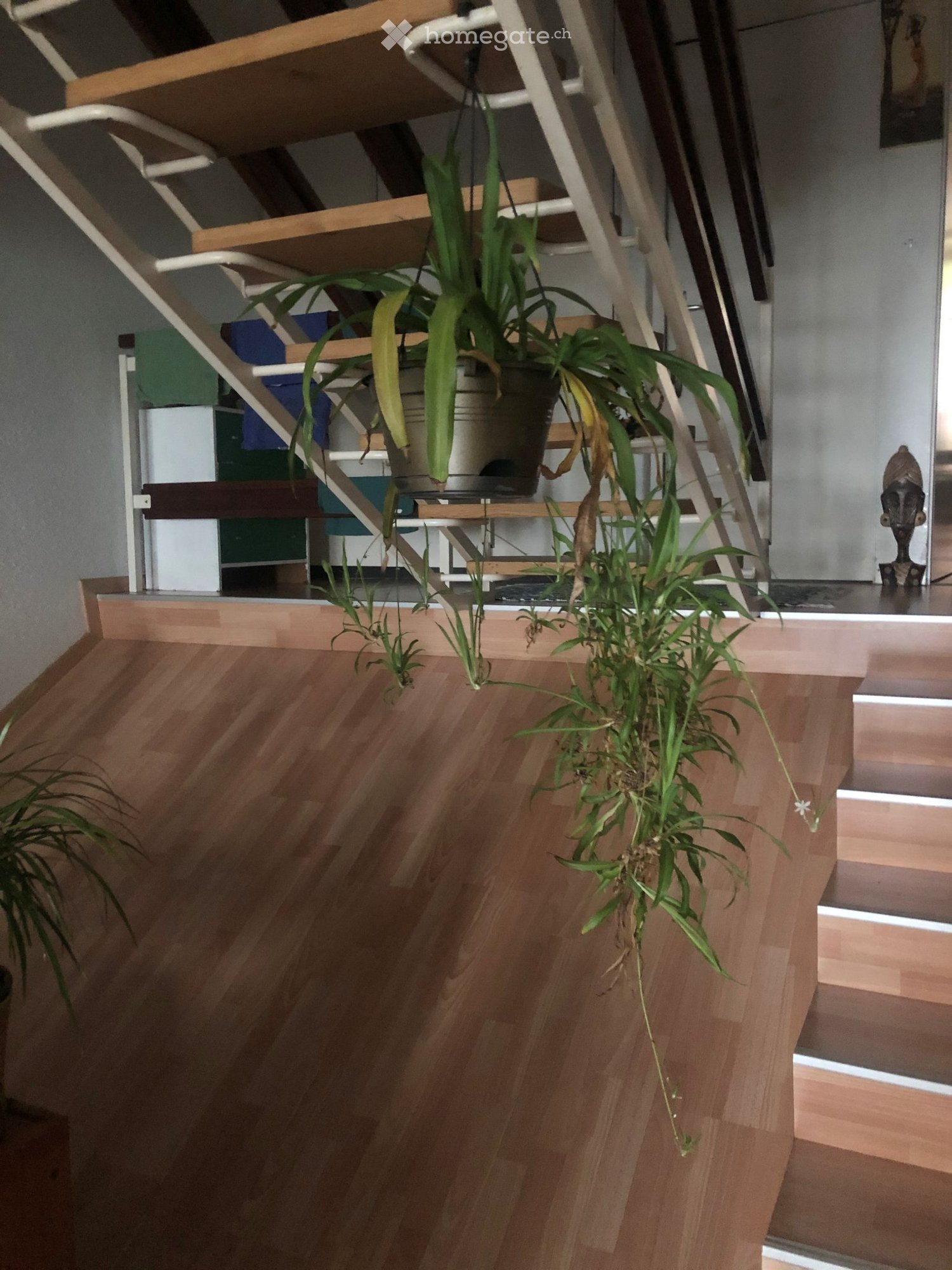 3 rooms apartment, photo 3 sur 5