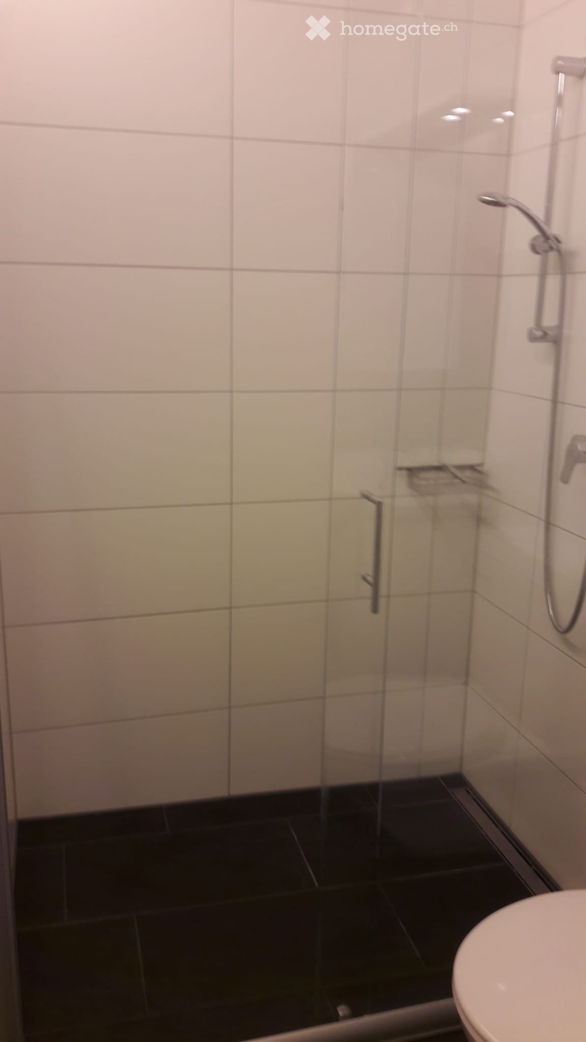 Appartement d'une pièce