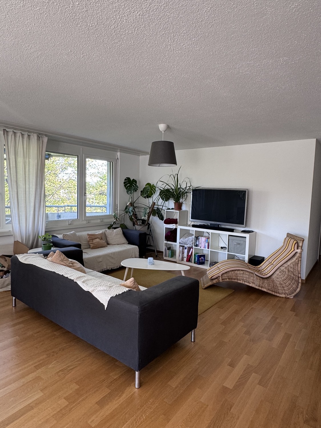Chambre dans une colocation