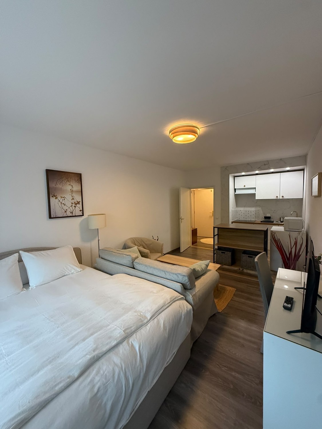 1 ½ rooms apartment, photo 3 sur 5