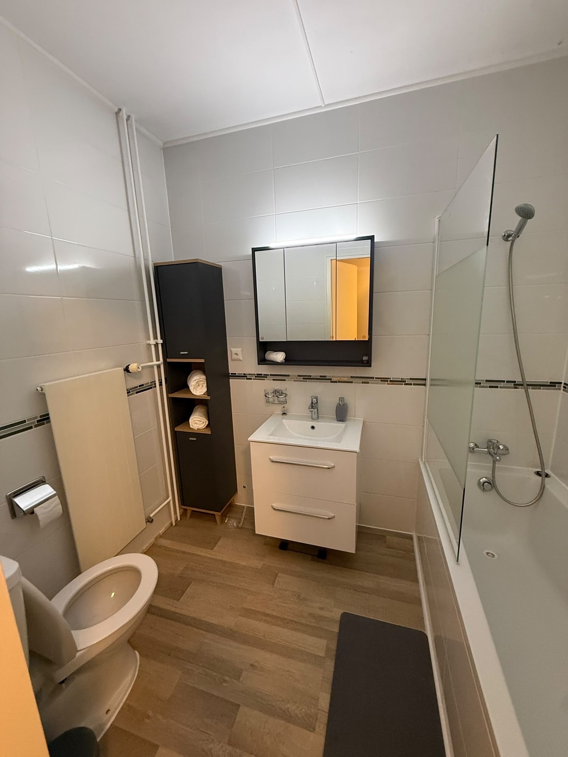 1 ½ rooms apartment, photo 5 sur 5