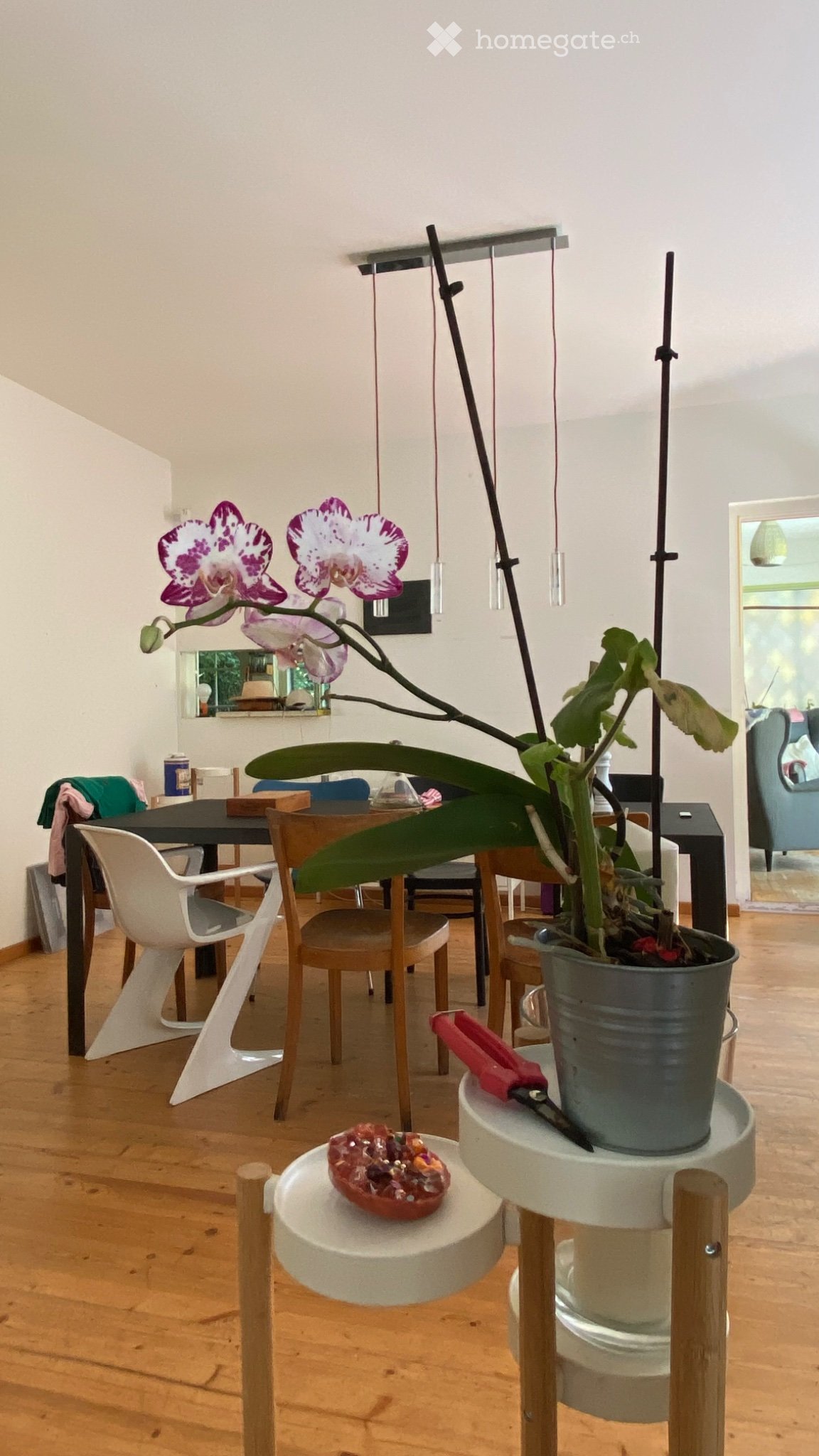 Maison individuelle de 7 ½ pièces