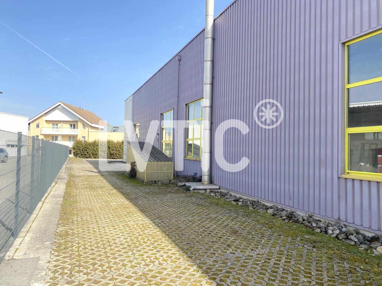 50m² offene Fläche