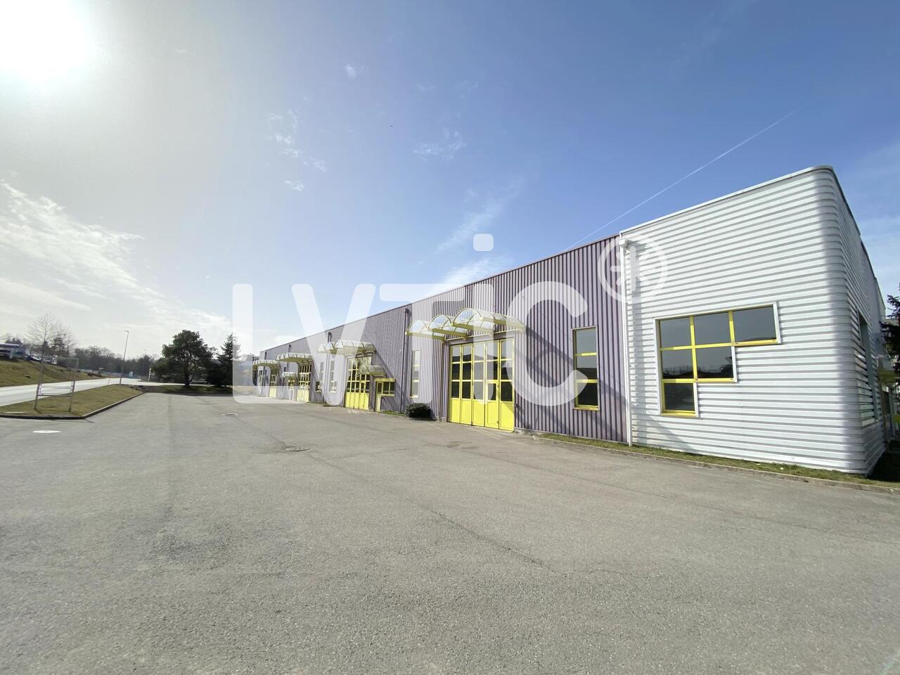 50m² offene Fläche