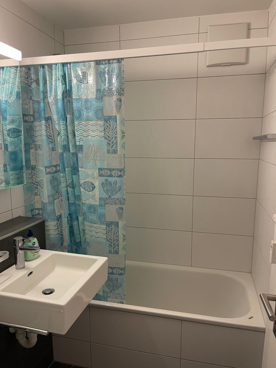Appartement de 1 ½ pièces