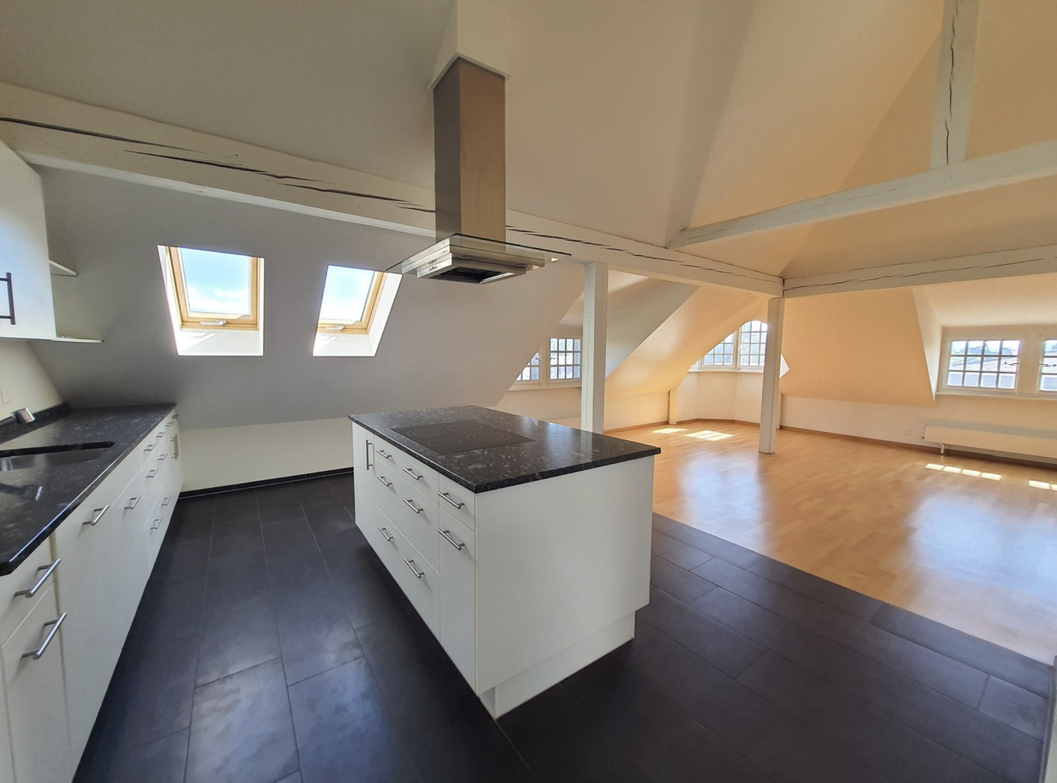 Appartement de 3 ½ pièces