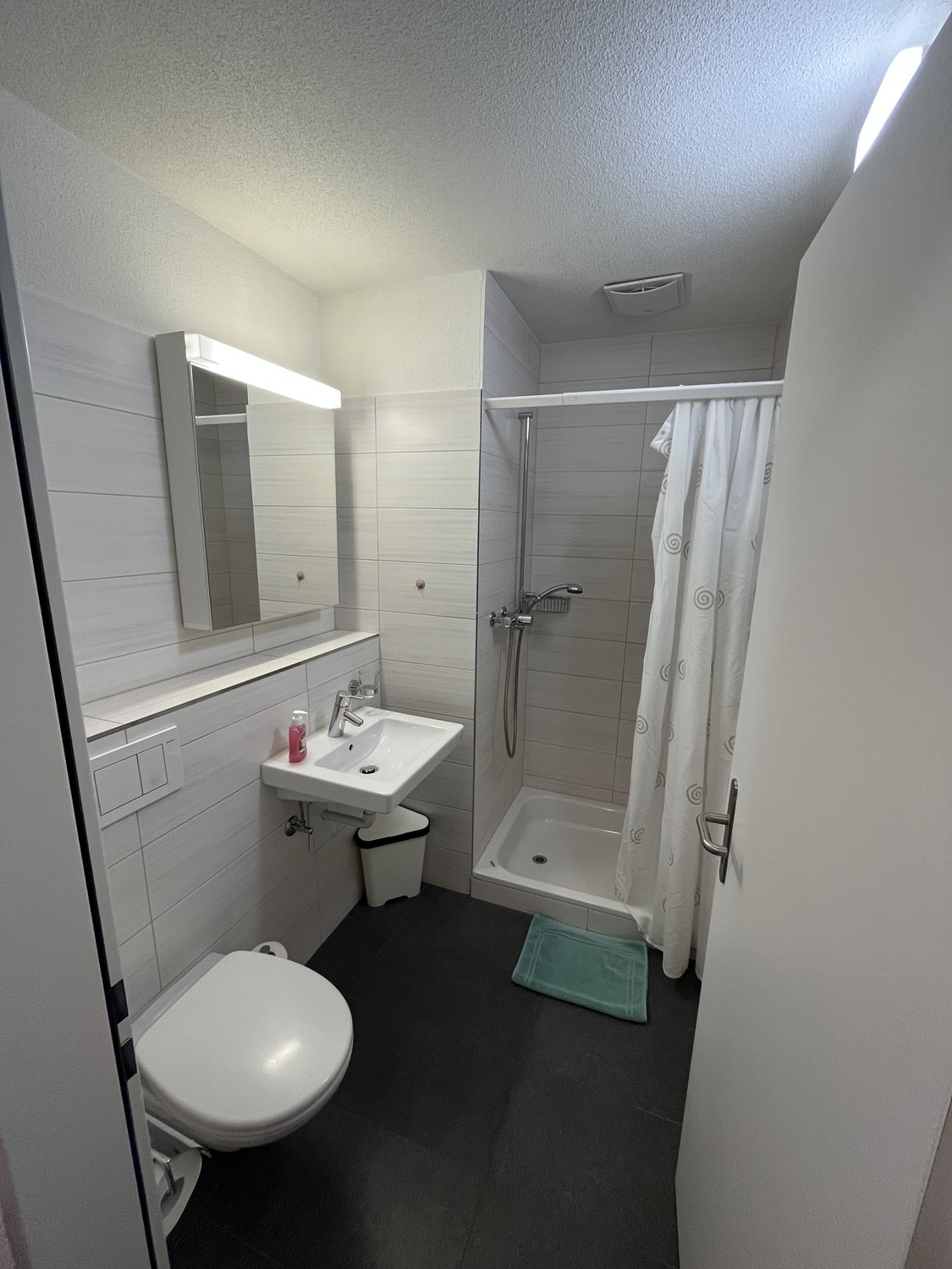 Appartement 1 pièce