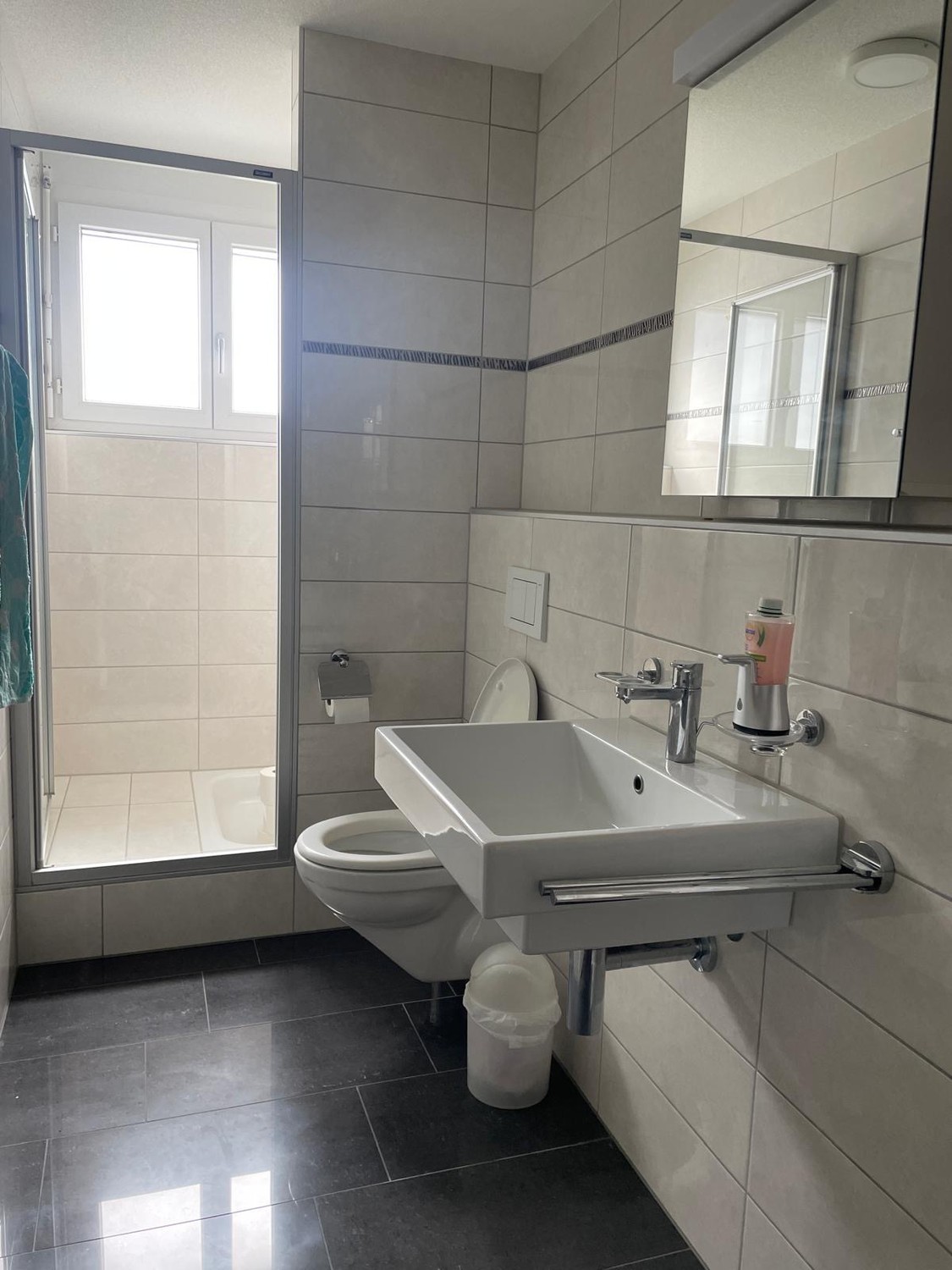 Appartement de 6 ½ pièces, photo 7 sur 10