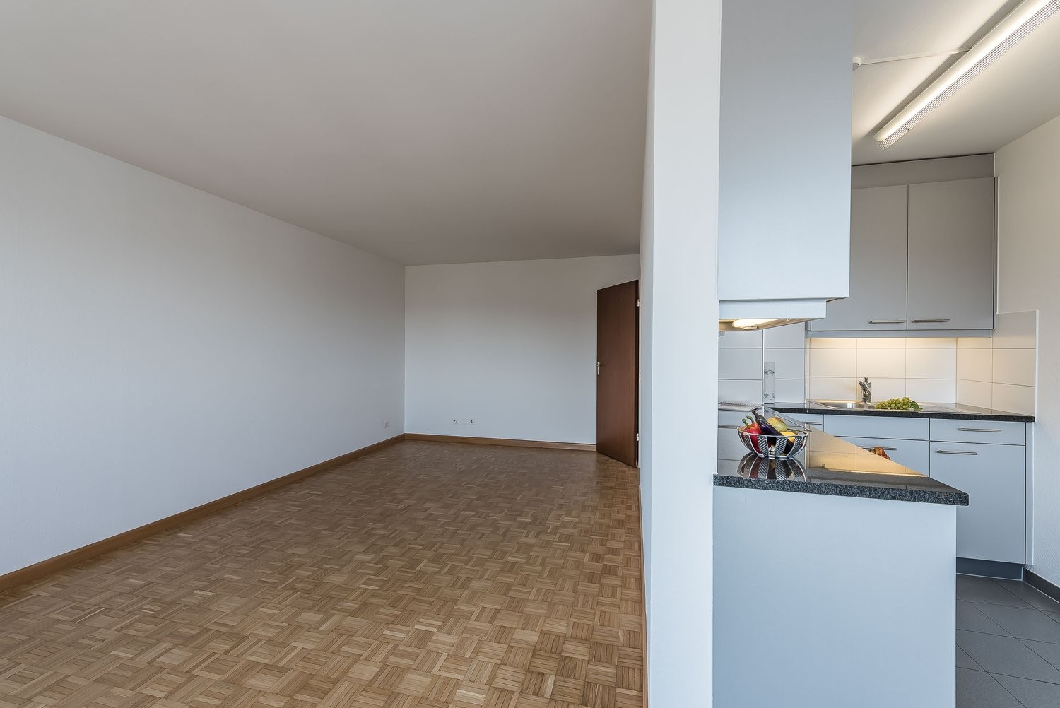 Appartement de 2 ½ pièces