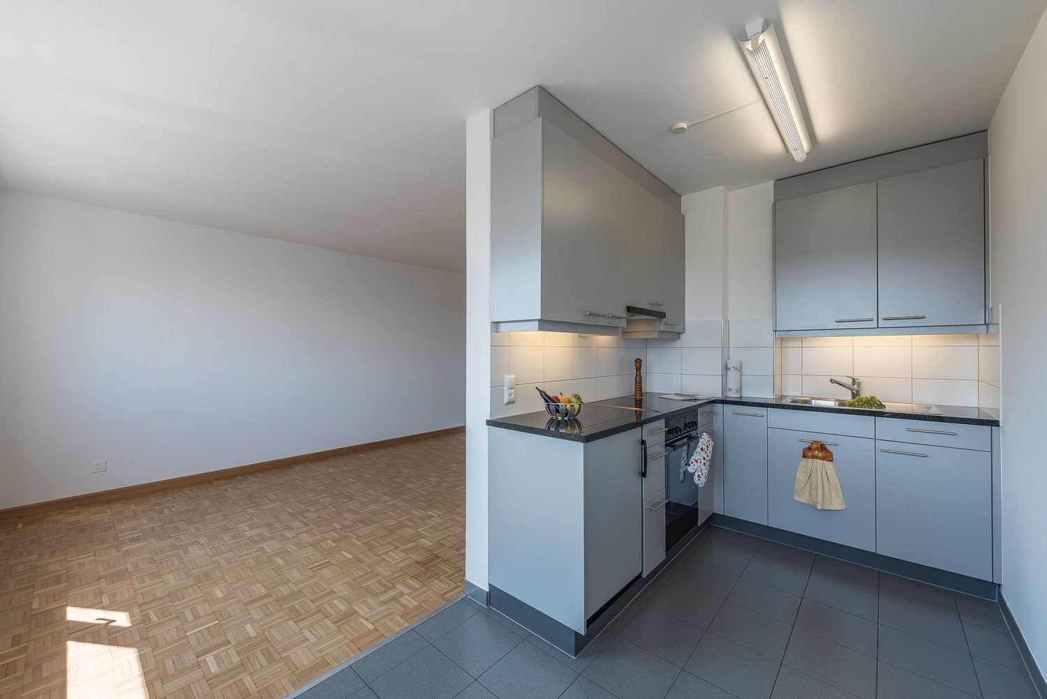 Appartement de 2 ½ pièces
