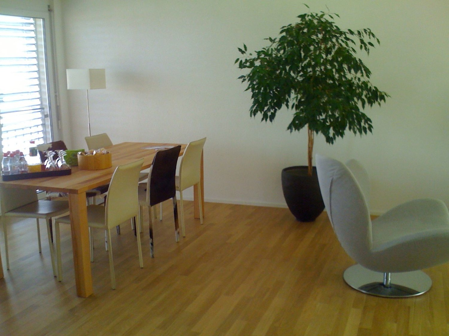 Appartement meublé de 3 ½ pièces, photo 1 sur 8