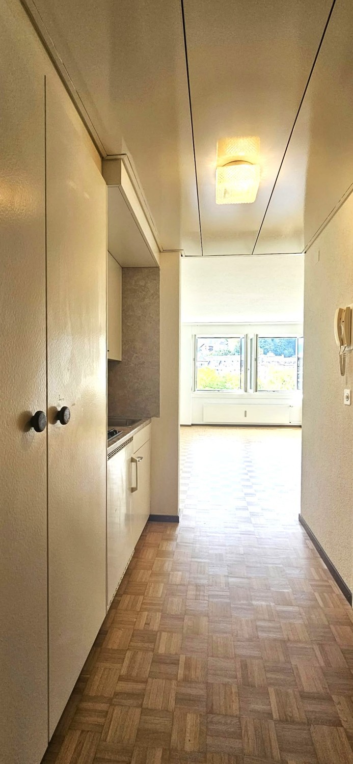 Appartement 1 pièce