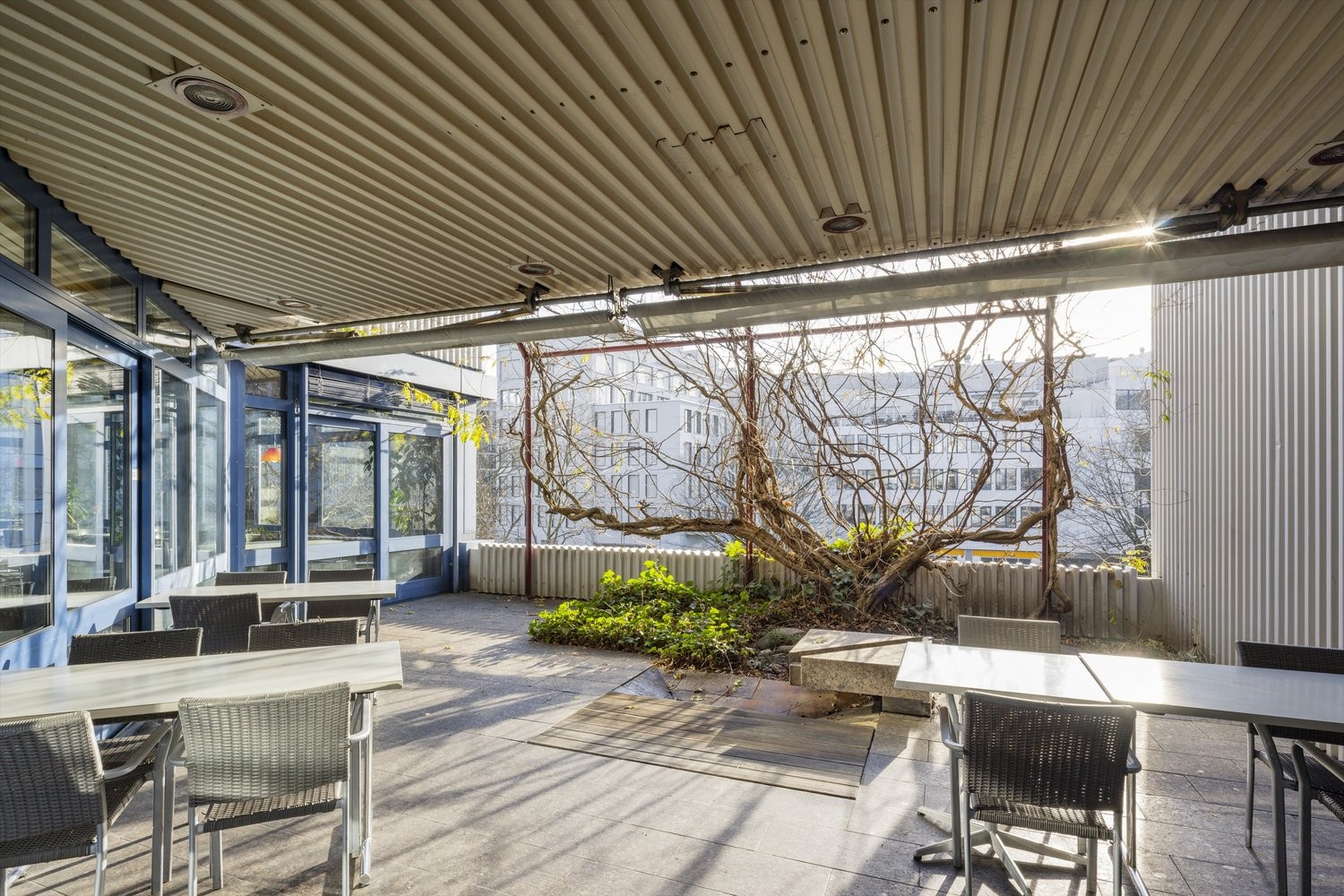restaurant de 800m²