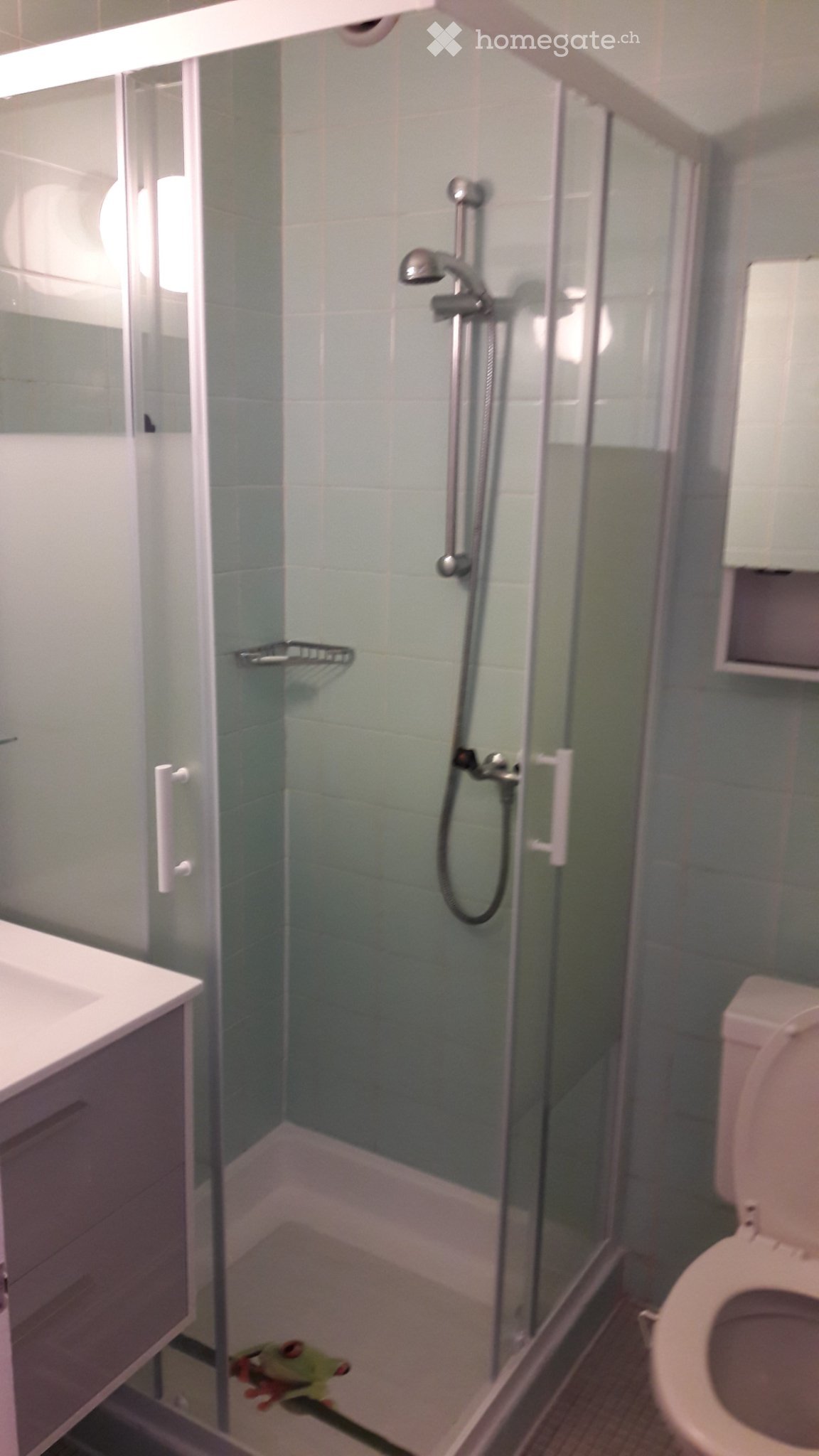 1 ½ rooms apartment, photo 4 sur 5