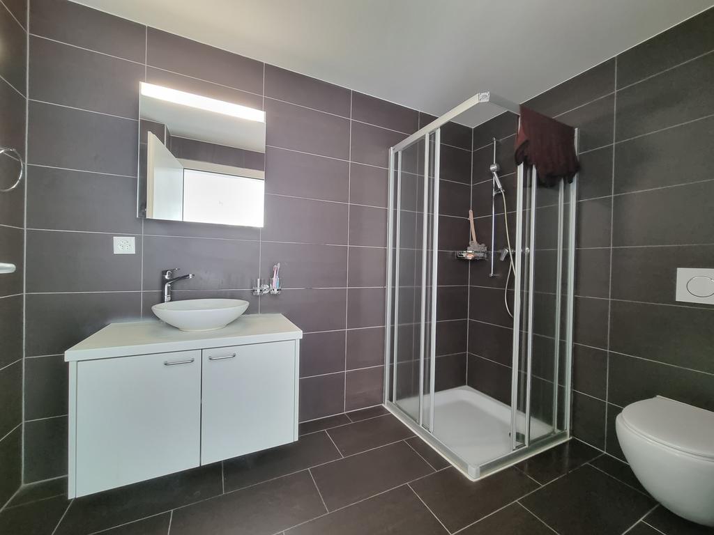 2 ½ rooms apartment, photo 3 sur 5