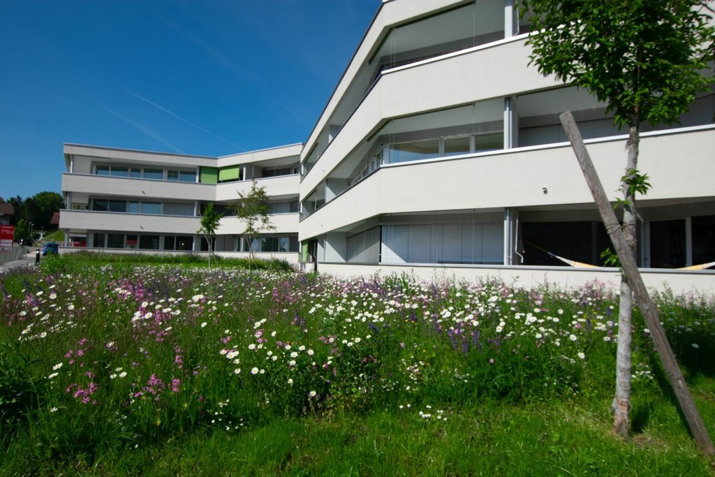 Appartement de 2 ½ pièces