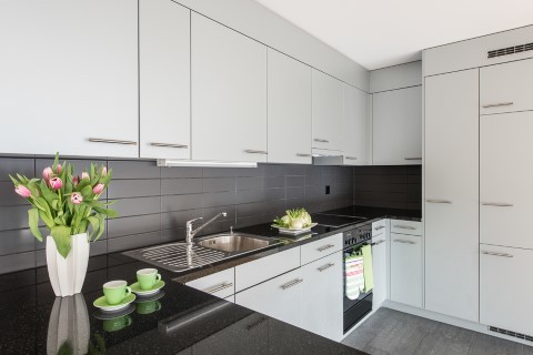 Appartement de 2 ½ pièces, photo 4 sur 10