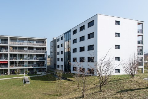 Appartement de 2 ½ pièces, photo 3 sur 10