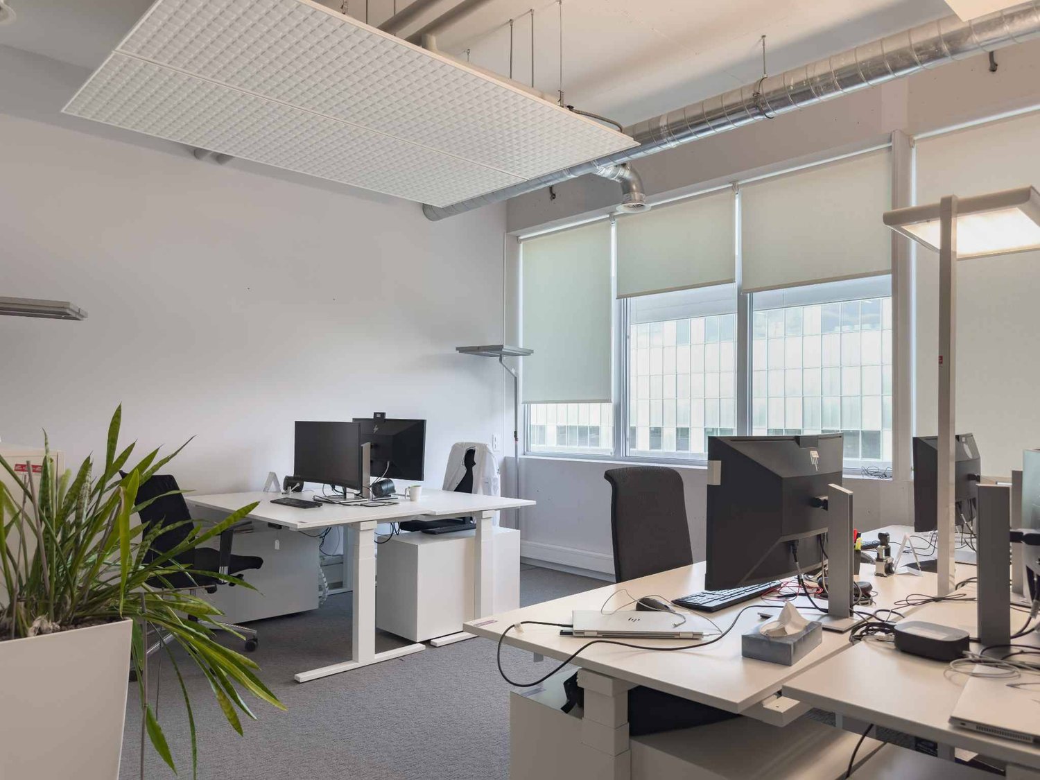 150m² commercial, photo 3 sur 10