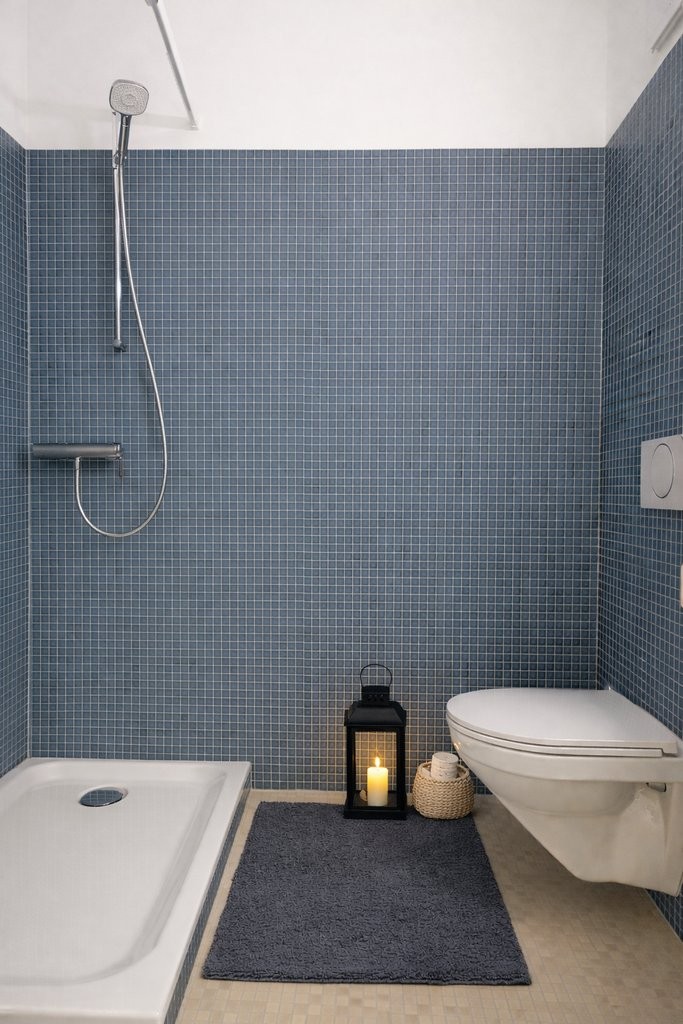 2 ½ rooms apartment, photo 7 sur 8