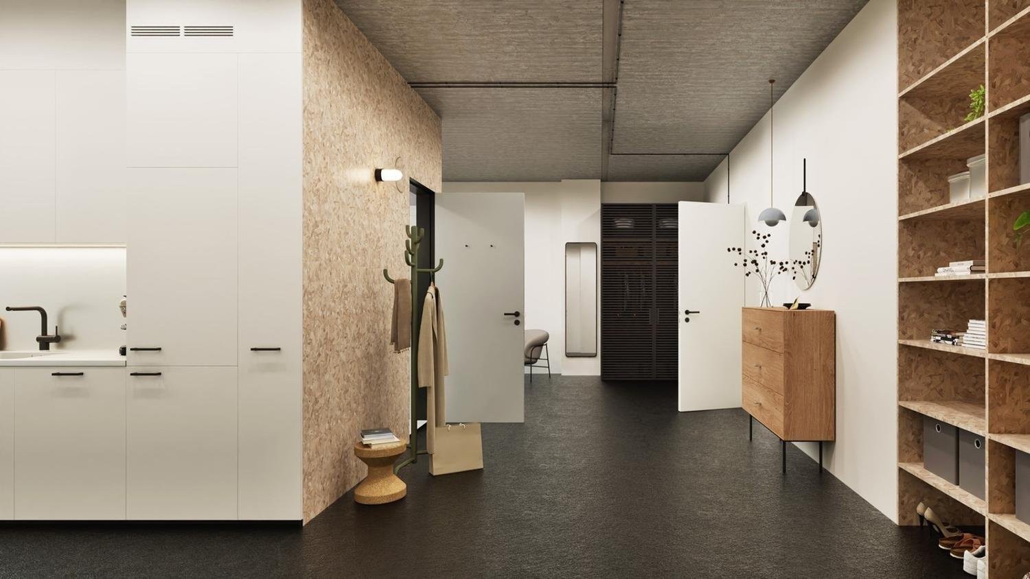 Loft 1 ½ pièces