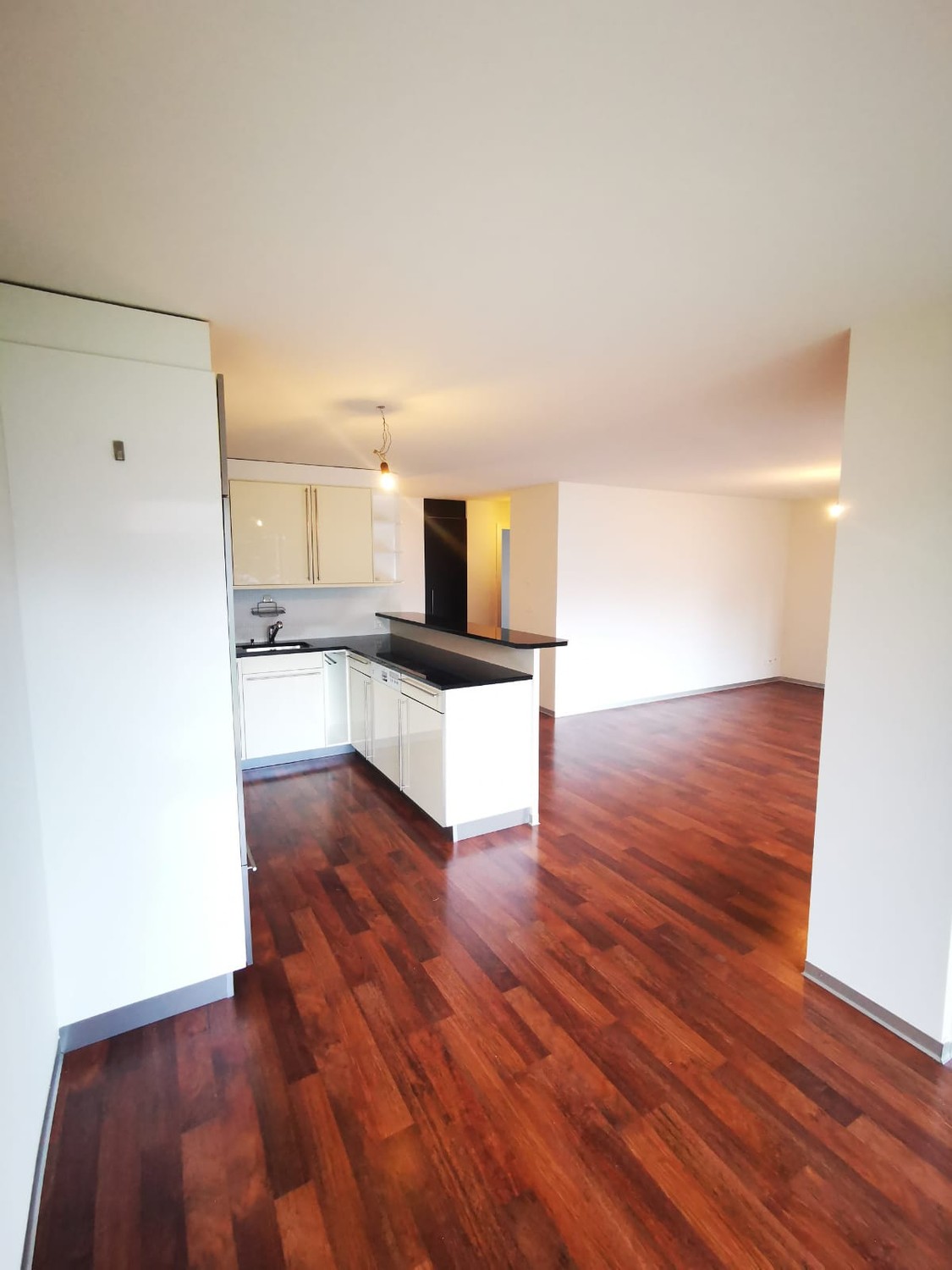 Appartement de 3 ½ pièces, photo 2 sur 9