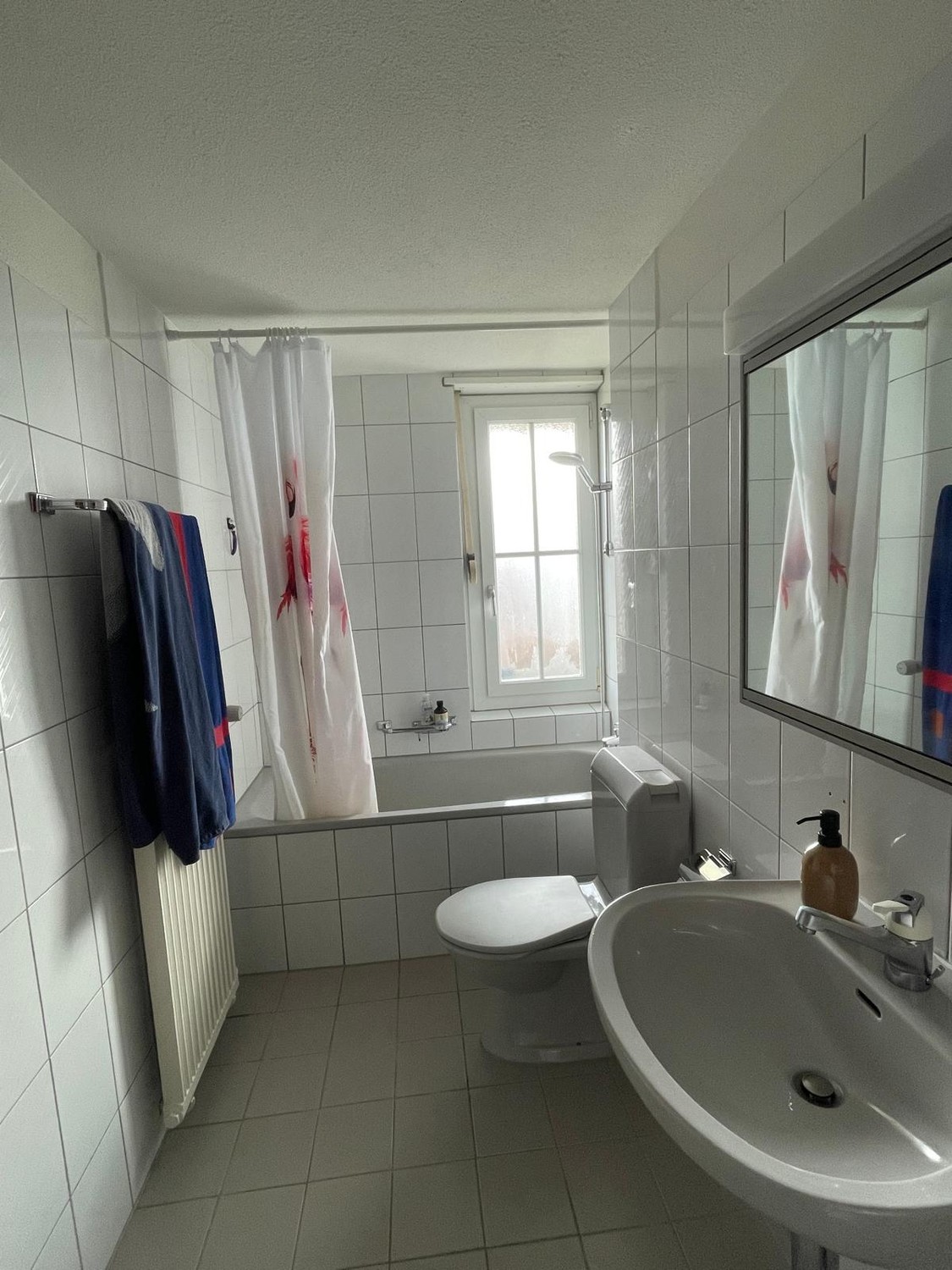 Appartement de 3 ½ pièces