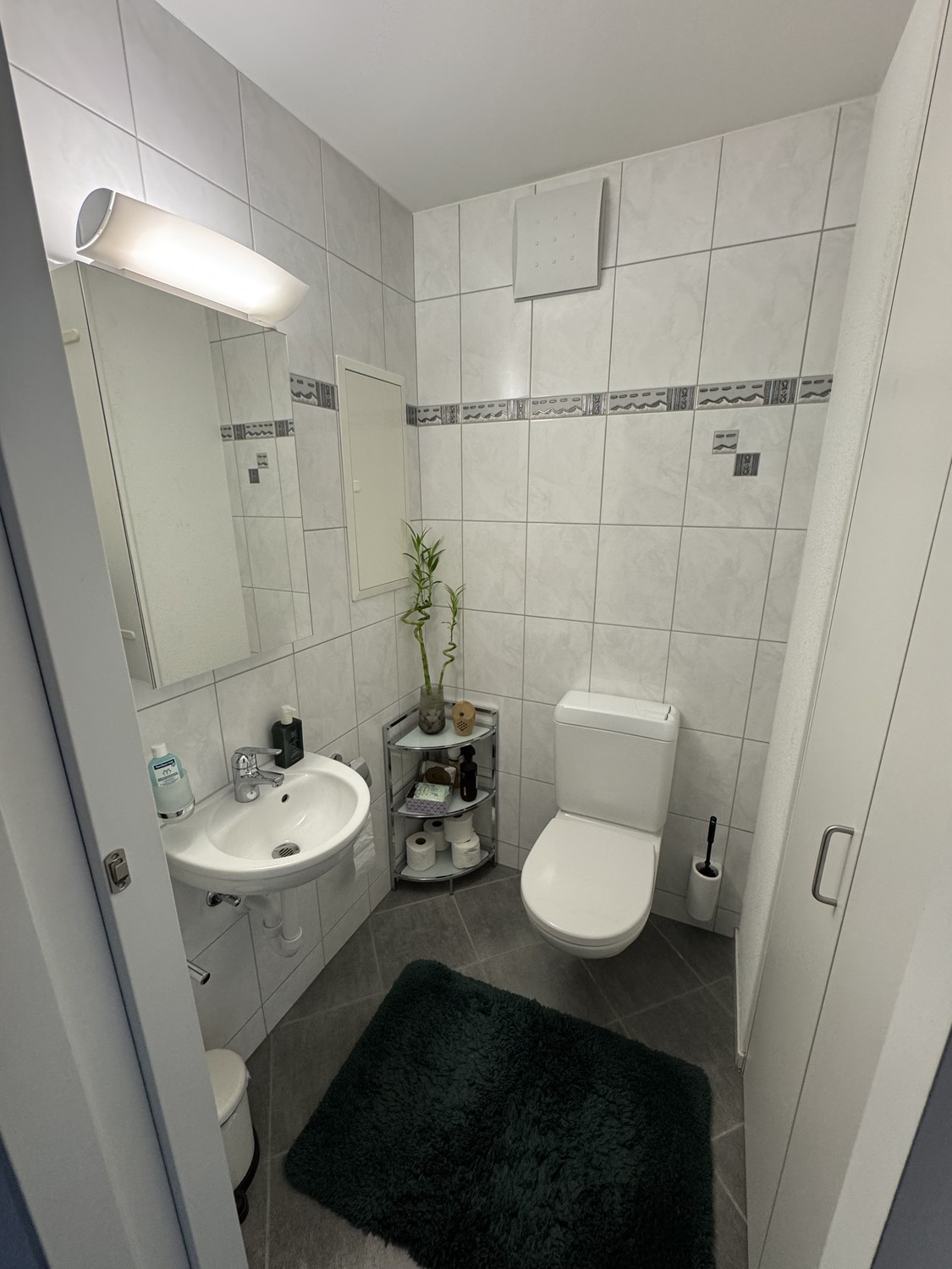 Appartement de 2 ½ pièces, photo 10 sur 10