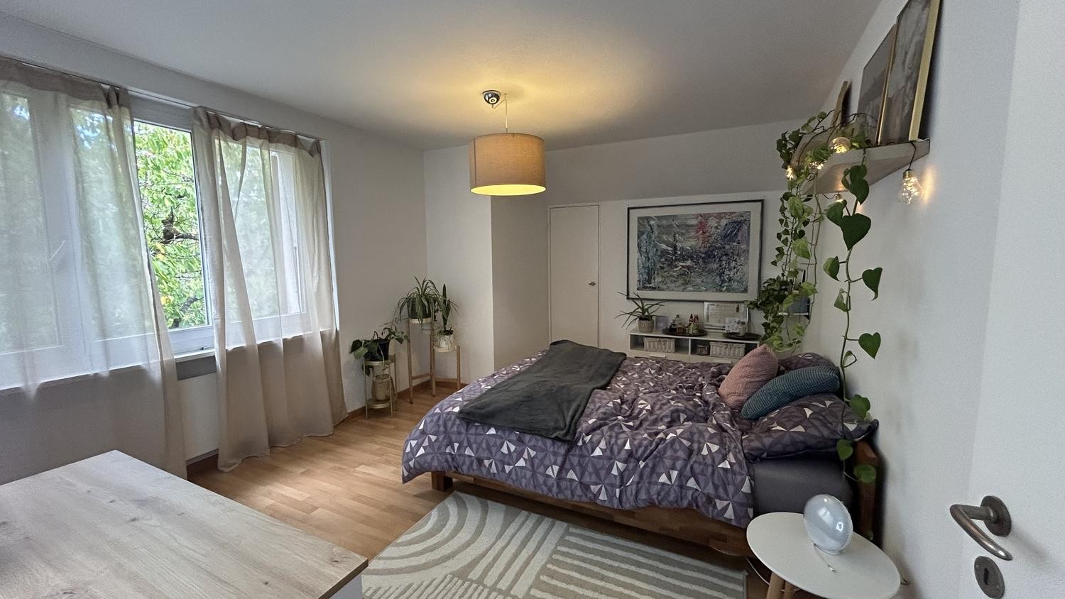 Room in a shared flat