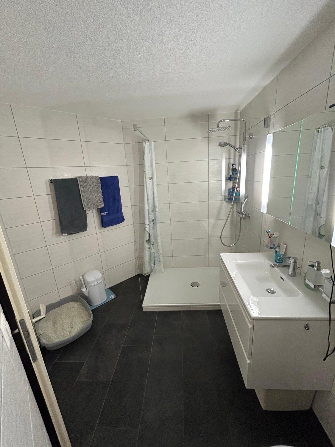 Appartement de 3 ½ pièces, photo 7 sur 10