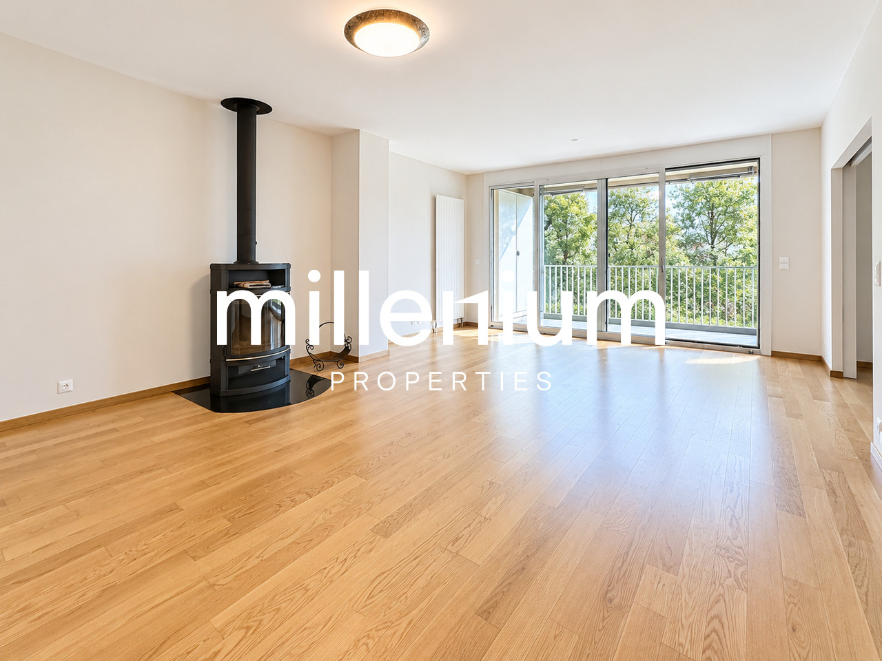 5 ½ rooms apartment