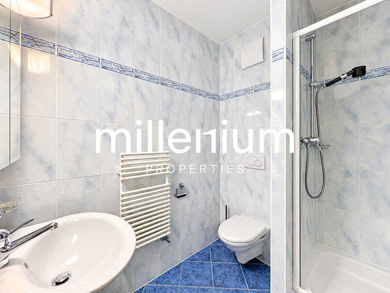 5 ½ rooms apartment