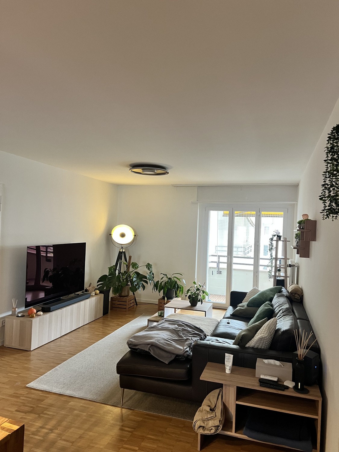 Appartement de 2 ½ pièces, photo 2 sur 10