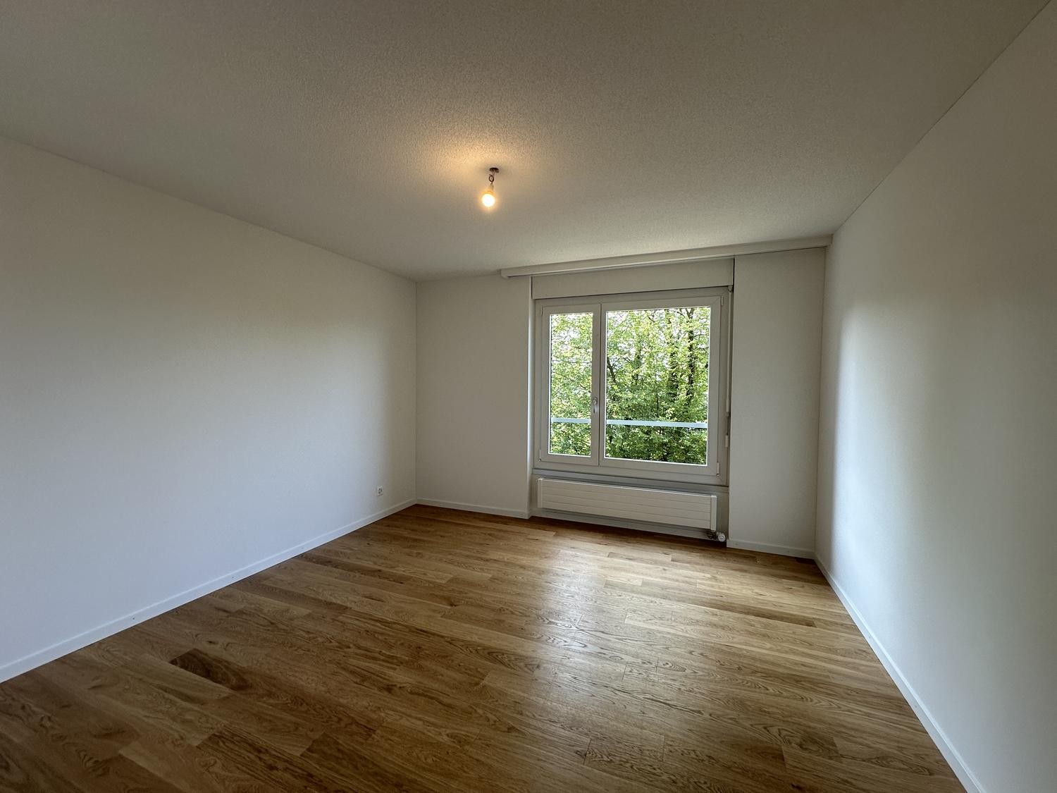 Appartement de 2 ½ pièces