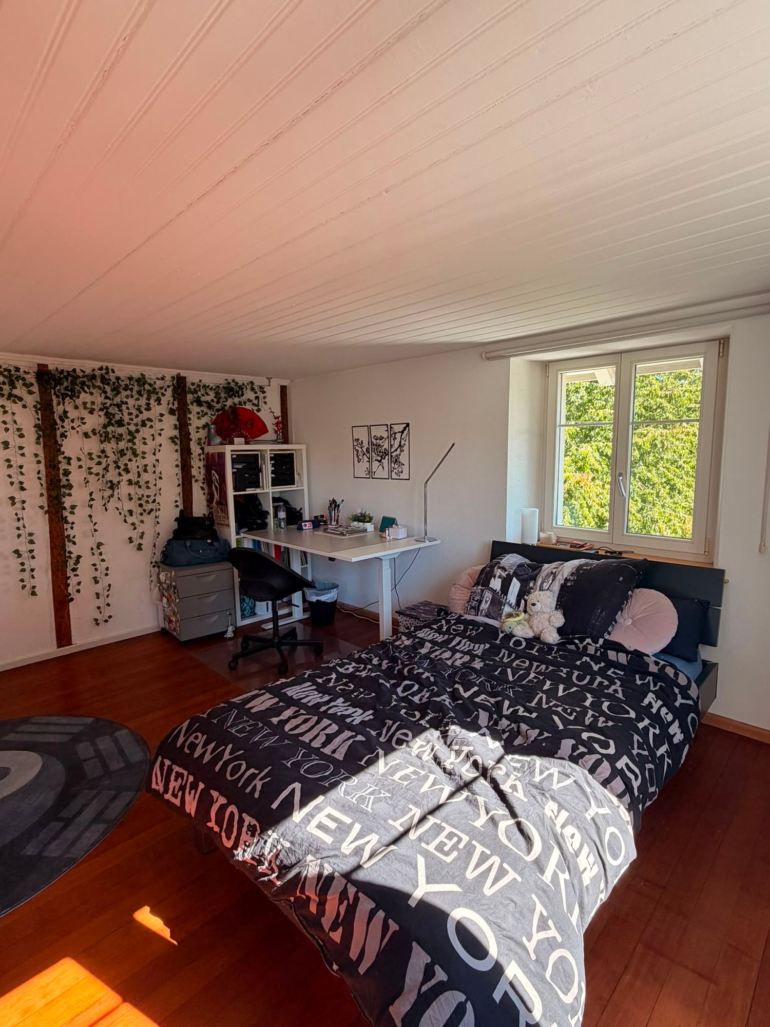 Room in a shared flat