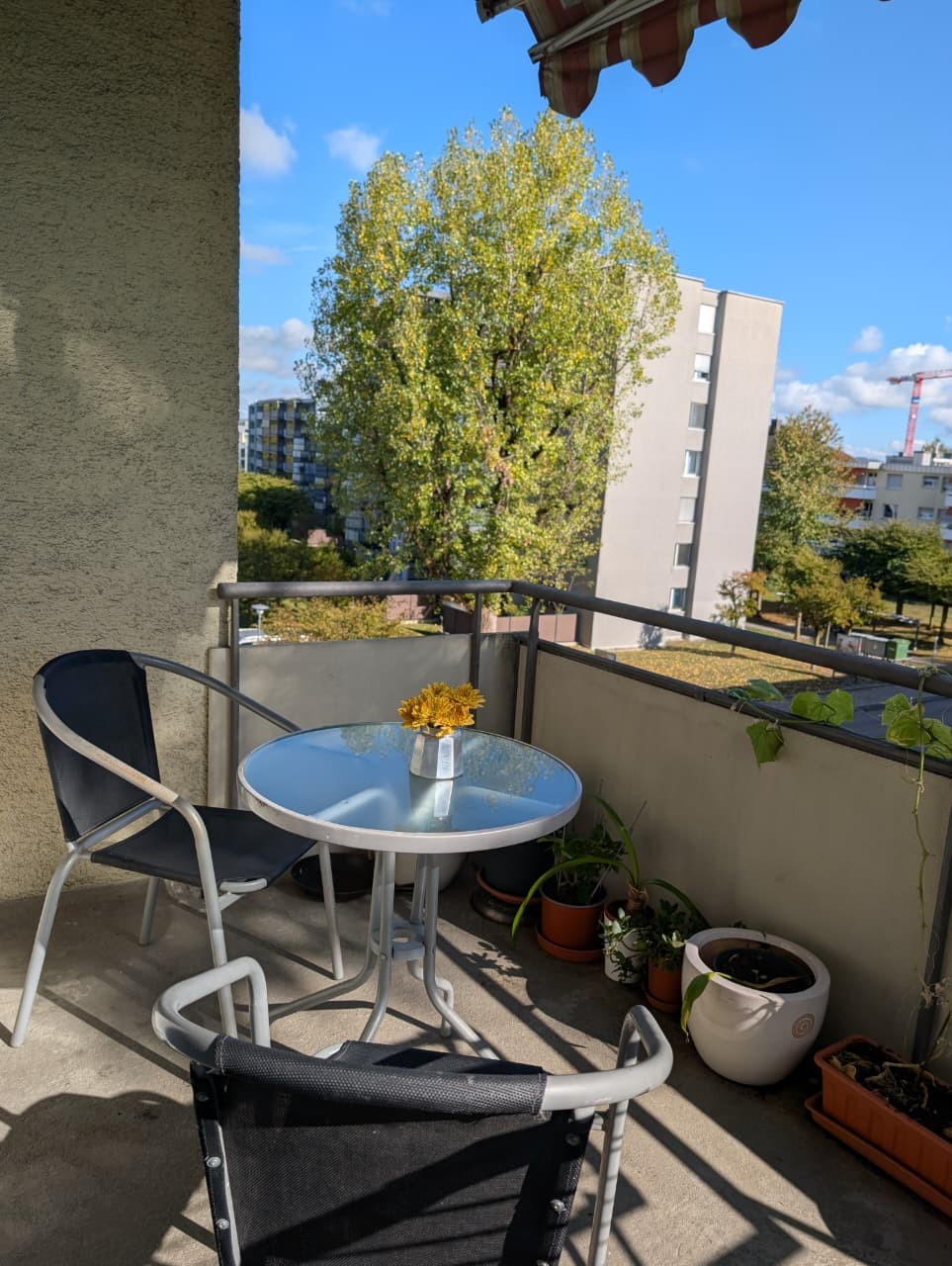 Appartement de 2 pièces, photo 7 sur 10