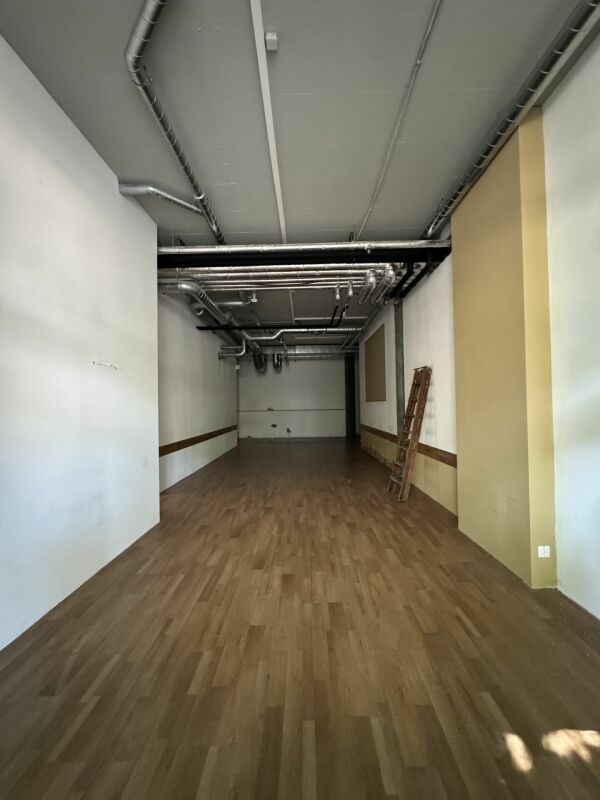 225m² commercial, photo 8 sur 10
