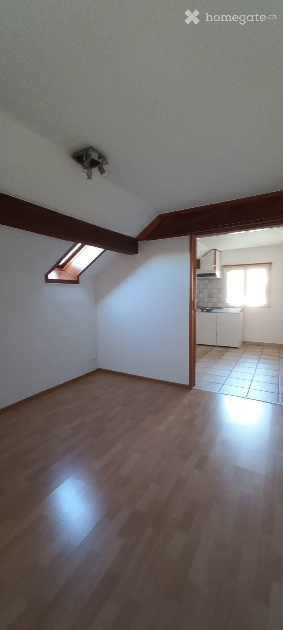 1 ½ rooms apartment, photo 4 sur 5