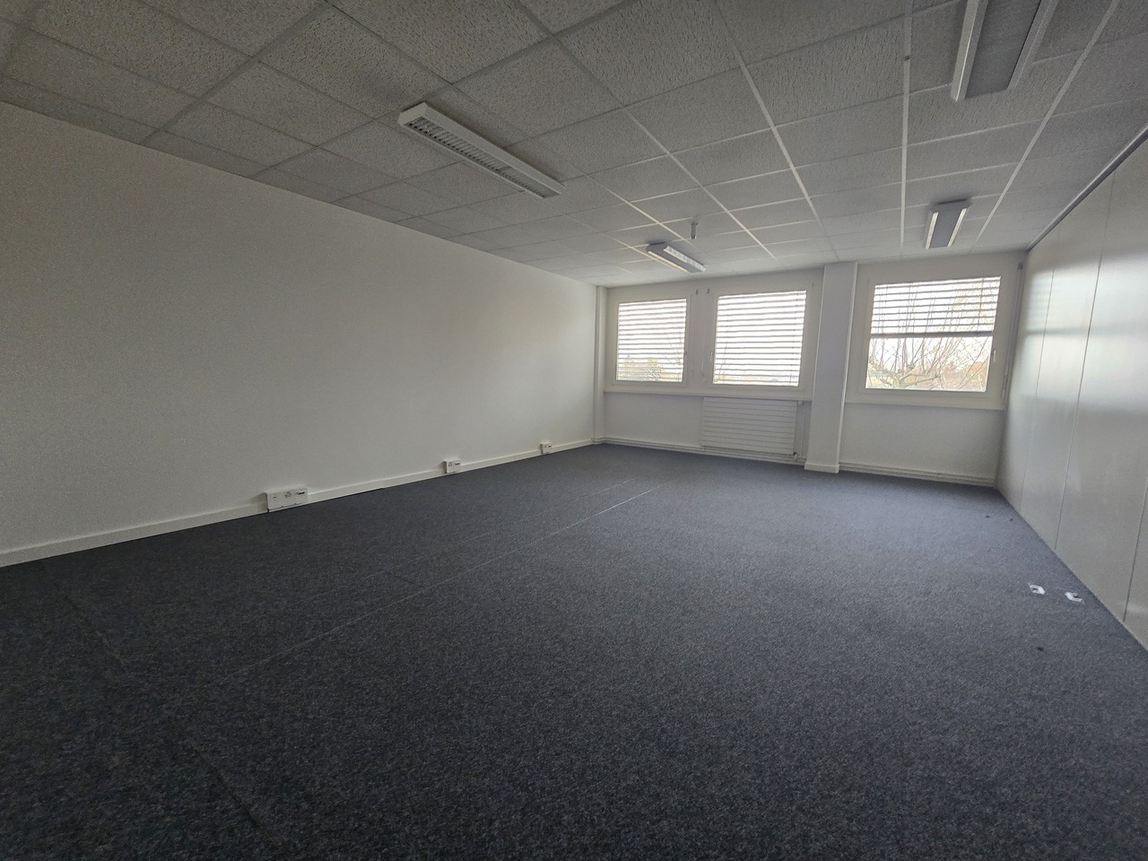 156m² office
