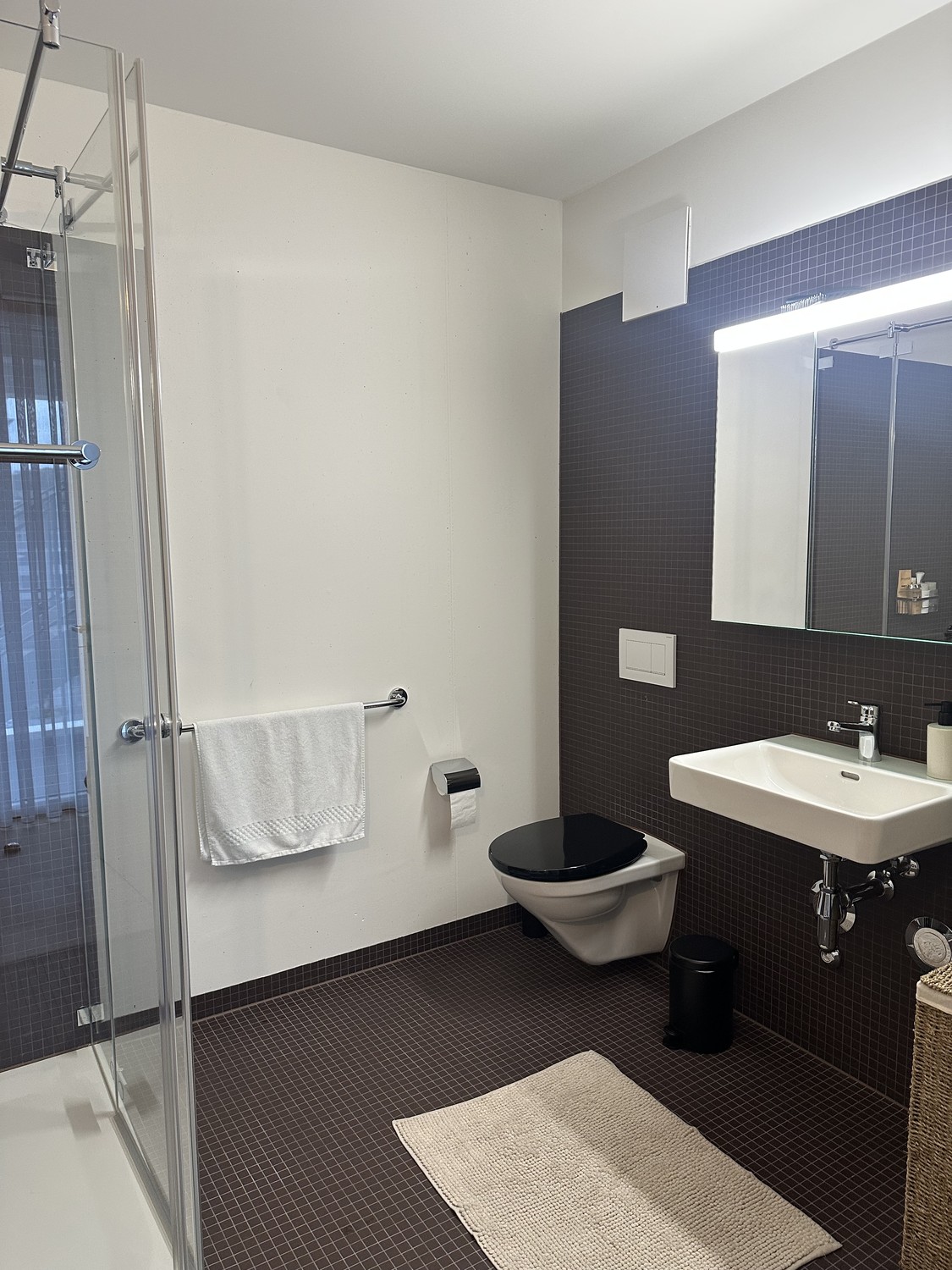 Appartement de 2 ½ pièces, photo 9 sur 10