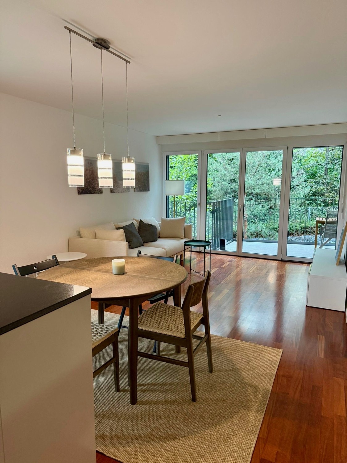 Appartement de 3 ½ pièces