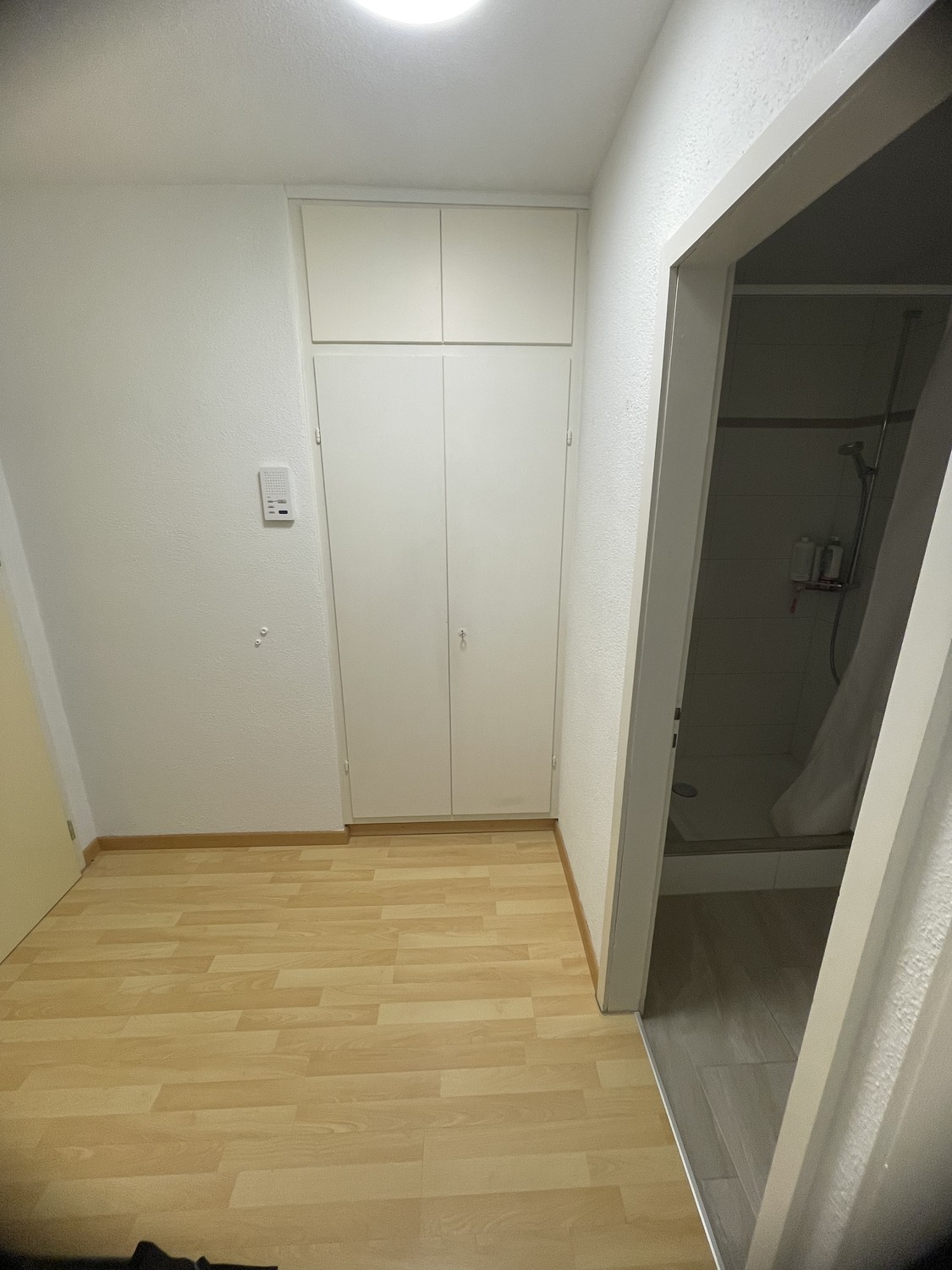 Appartement d'une pièce