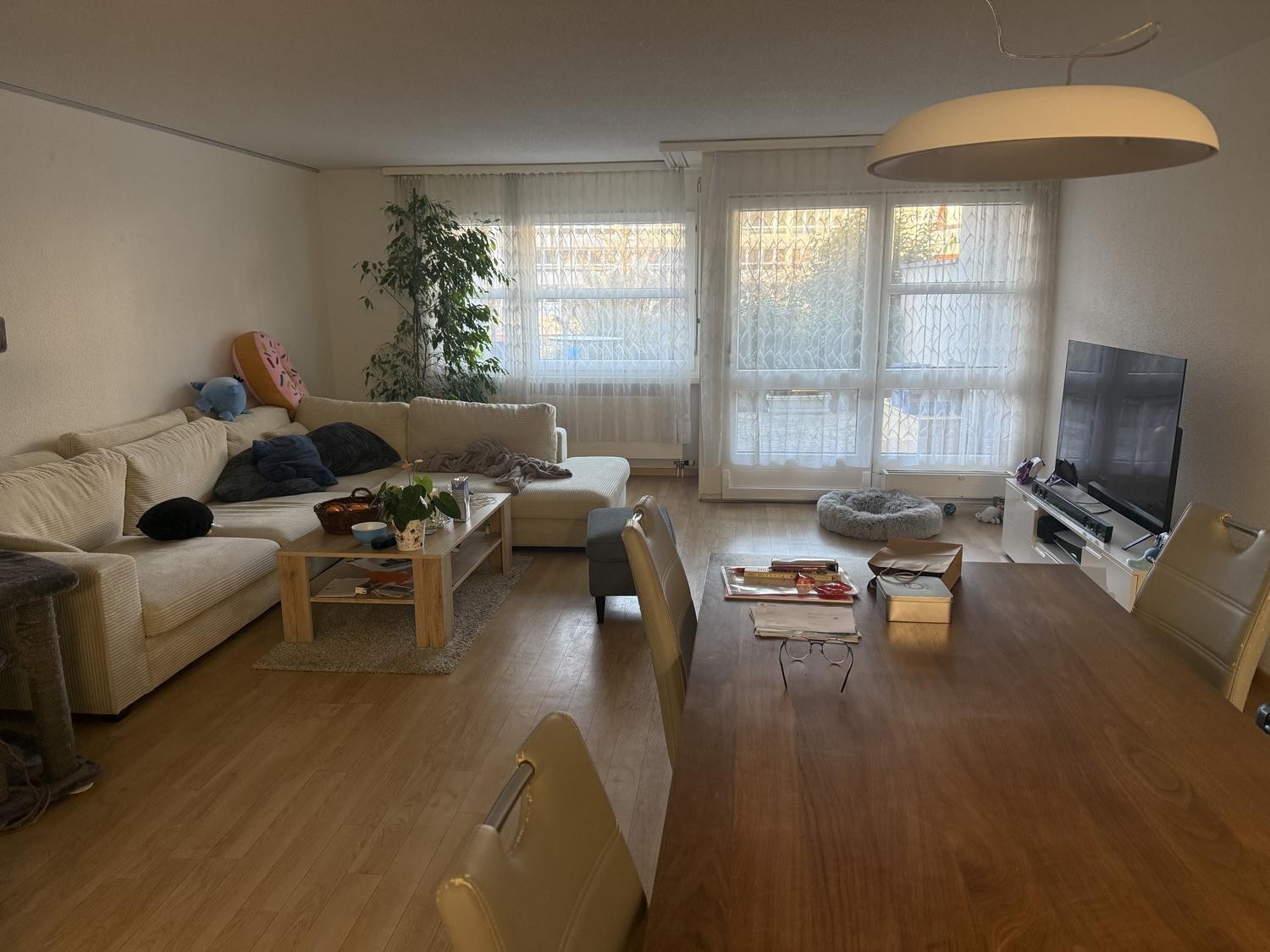 Chambre dans un appartement partagé