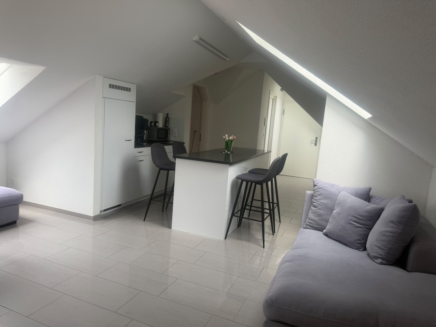 Appartement de 3 ½ pièces