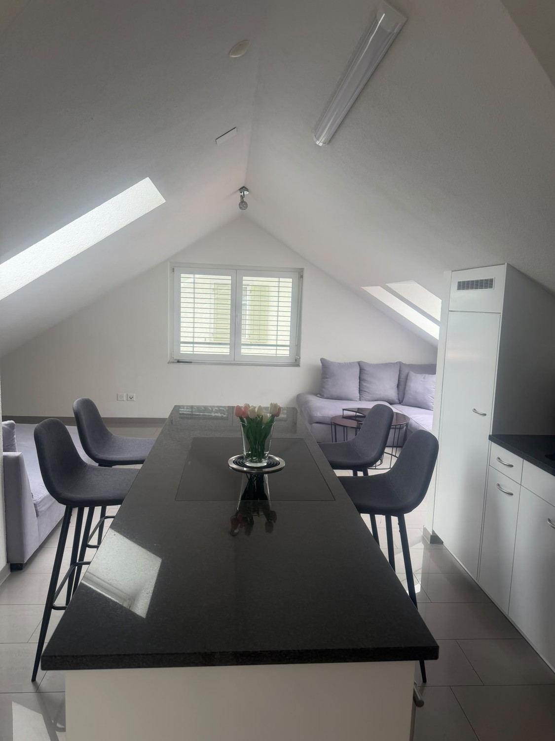 Appartement de 3 ½ pièces