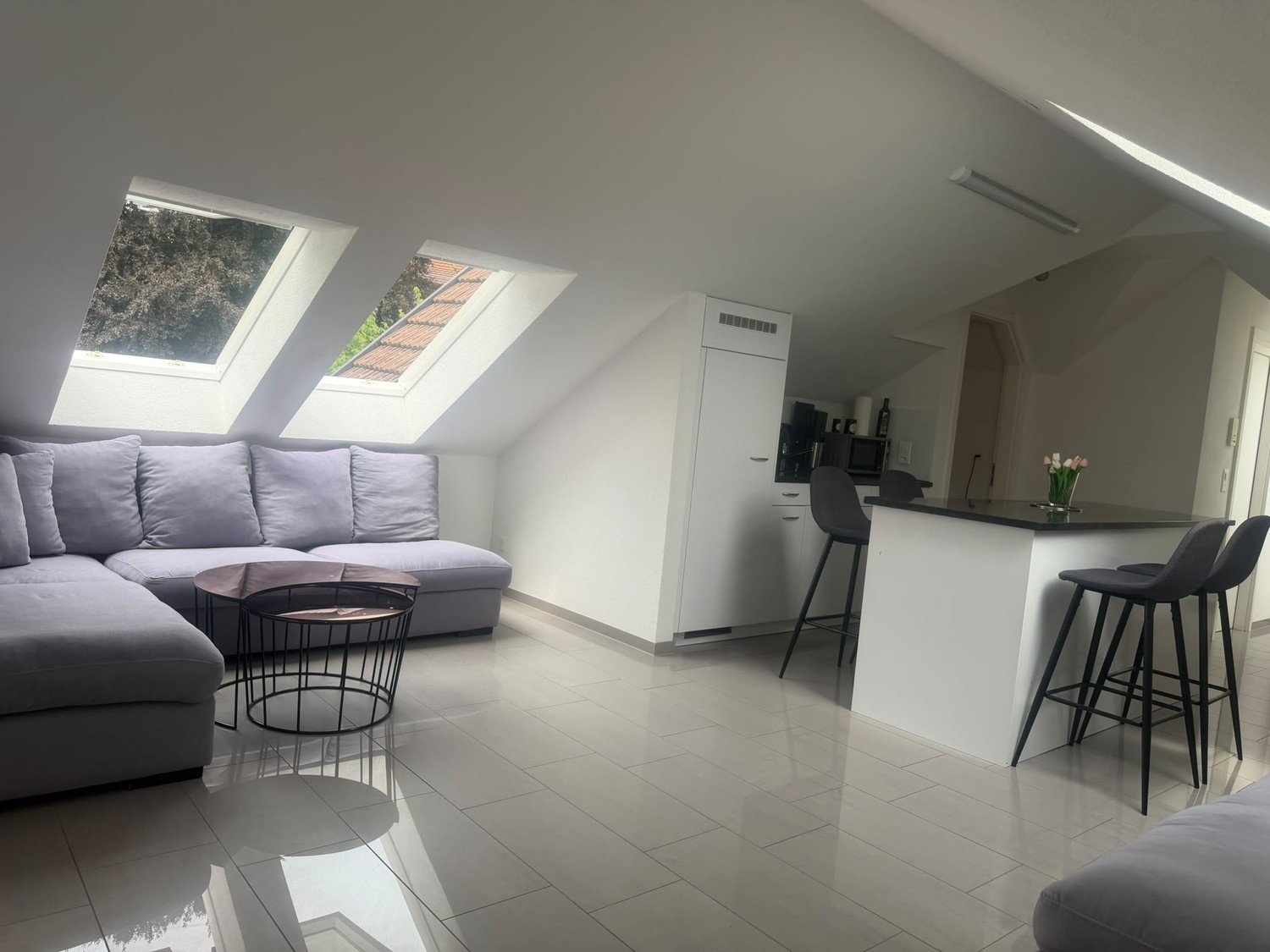 Appartement de 3 ½ pièces