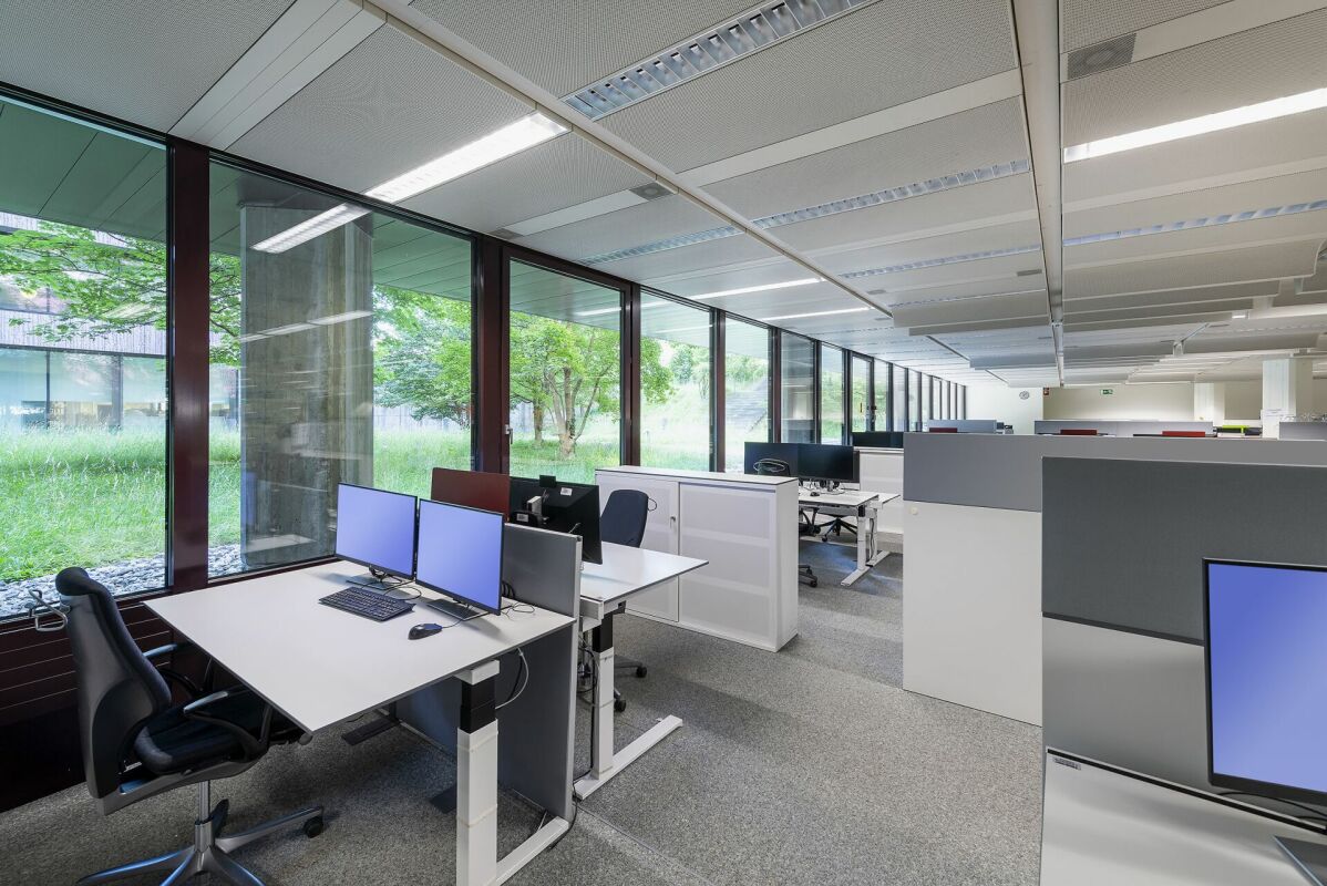 6194m² bureau